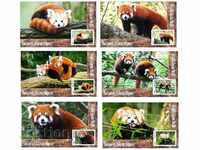 Curățați blocurile Faună roșie Panda 2019 din Tongo