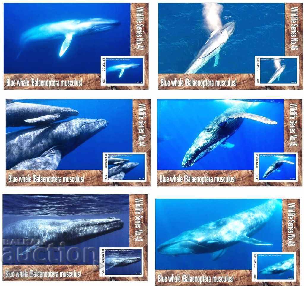 Чисти блокове Морска Фауна Син Кит  2019  от Тонго
