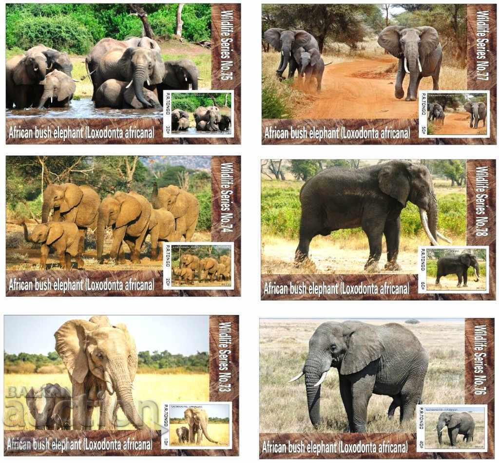 Curățați blocurile Fauna Elephant African 2019 din Tongo