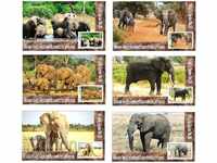 Καθαρό μπλοκ Πανίδα Αφρικανικός ελέφαντας 2019 από το Τόνγκο