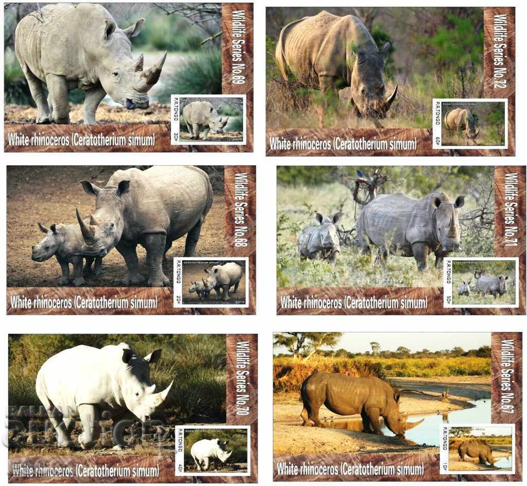 Чисти блокове  Фауна Бял  Носорог  2019  от Тонго