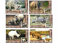 Clean Blocks Fauna White Rhinoceros 2019 from Tongo
