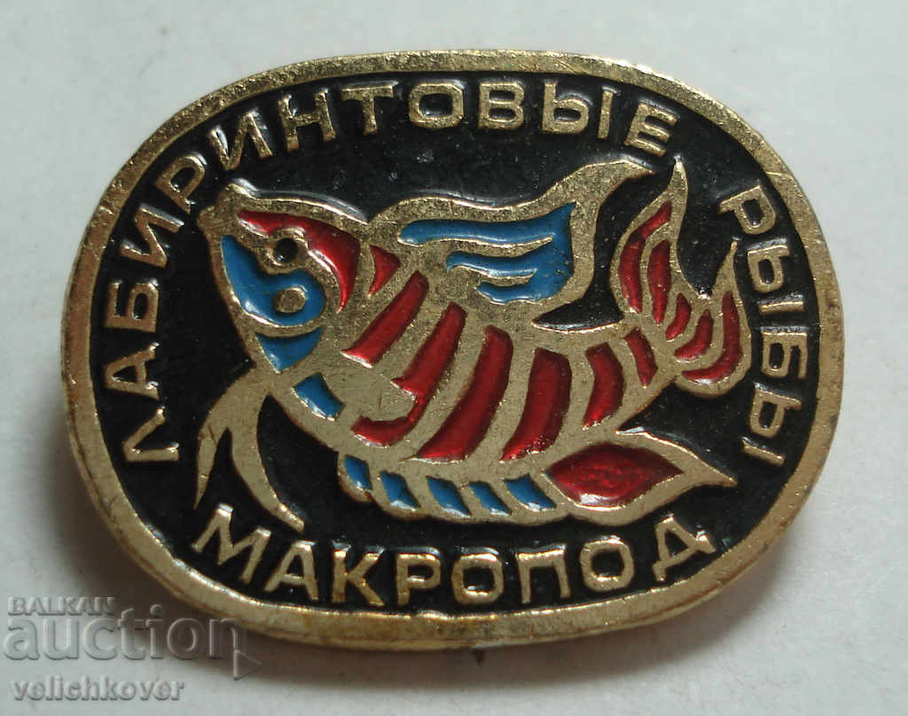 25731 СССР знак серия декоративни риби Неонови риби