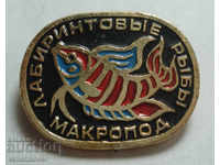 25731 USSR character set decorative fish Neon fish