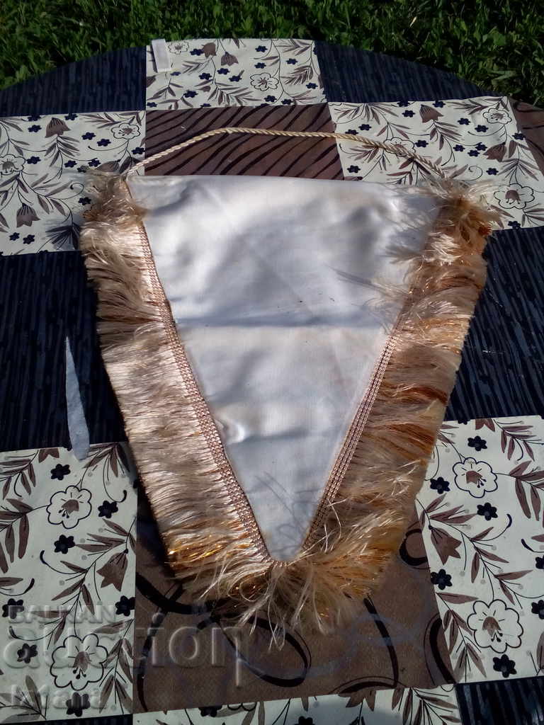 Delivery of Star Flag, FF Slavia Flag