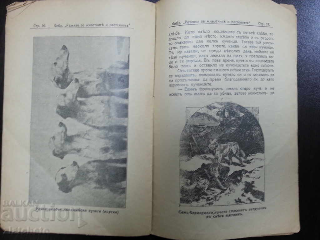 Auction Old magazine 1pc. Auction Old magazine 1pc.