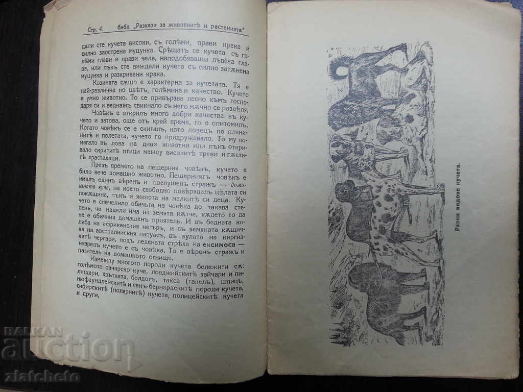 Old magazine 1pc. - 5 Old magazine 1pc. - 5