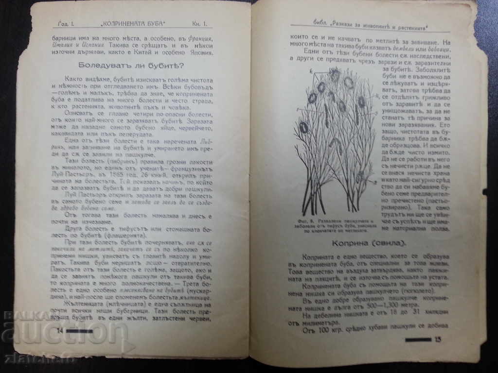 Παλιό περιοδικό 1τμ. - 5 Παλιό περιοδικό 1τμ. - 5