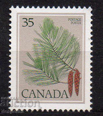 1979. Canada. Ramuri de copac - Pinus strobus.