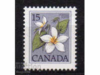 1979. Canada. Flori salbatice.