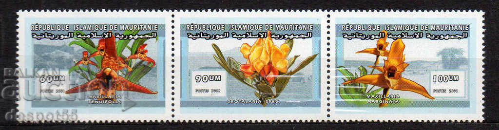 2000. Мавритания. Тропични растения. Стрип.