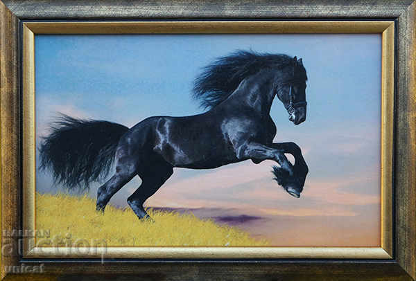 Horse, black, painting