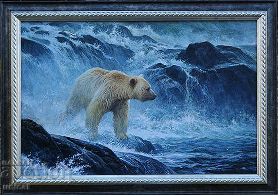 Urs alb, pictură