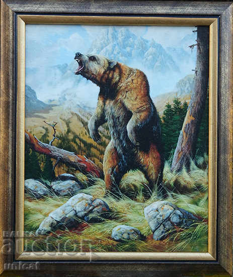 Αρκούδα, εικόνα