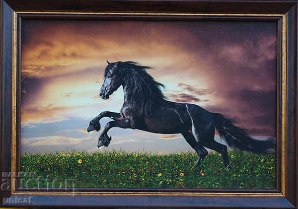 Landscape with a black horse, picture