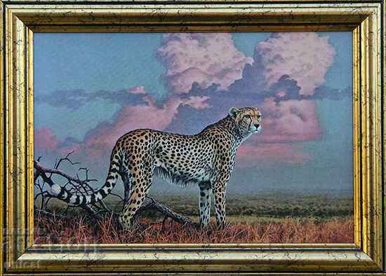 Cheetah, painting