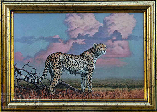 Cheetah, painting Cheetah, painting