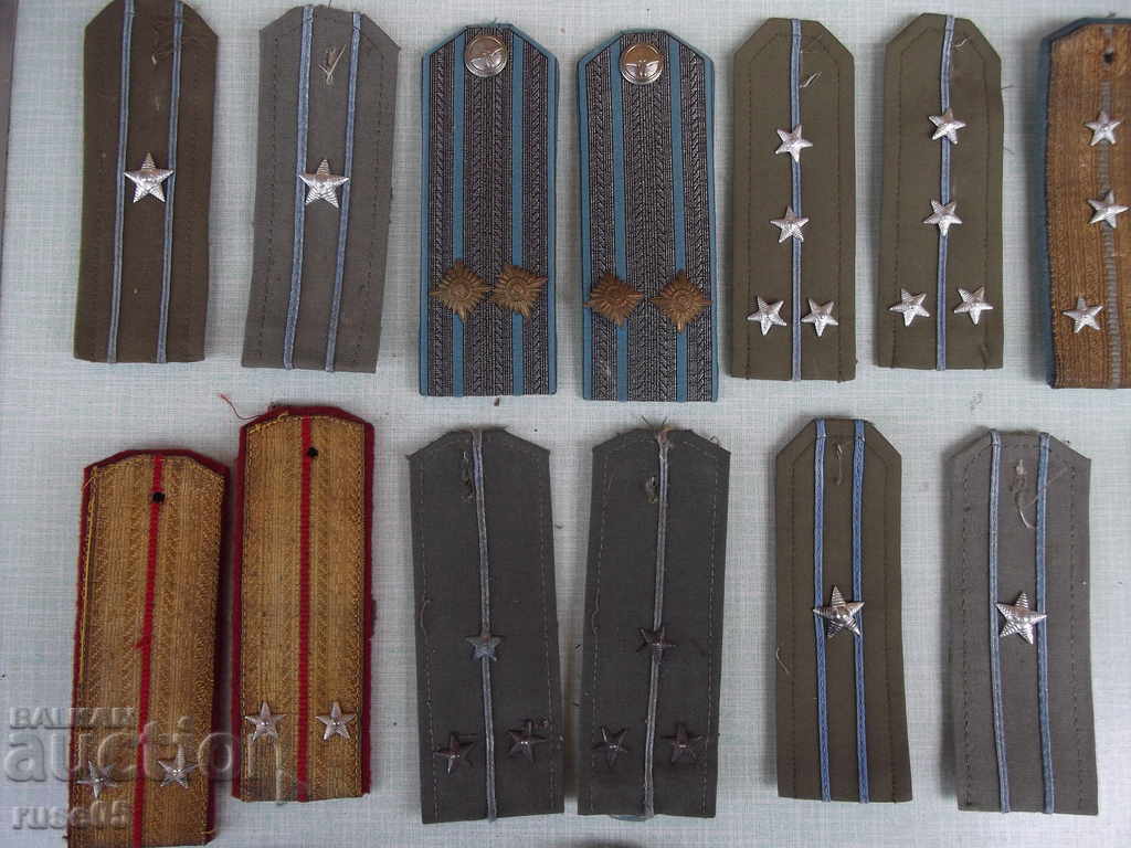 Auction Lot of paws and venezels Auction Lot of paws and venezels