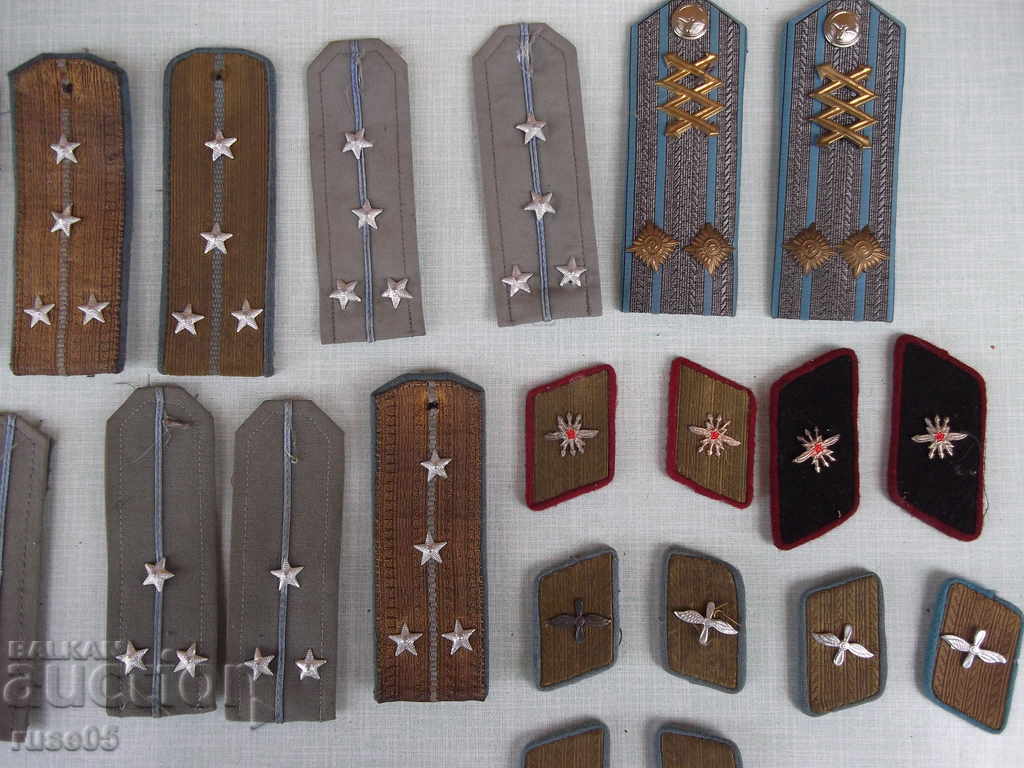 Delivery of Lot of paws and venezels Delivery of Lot of paws and venezels