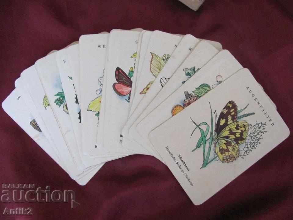 Auction Old Button Playing Cards Germany Auction Old Button Playing Cards Germany