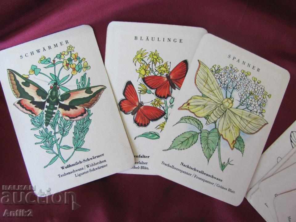 Delivery of Old Button Playing Cards Germany Delivery of Old Button Playing Cards Germany