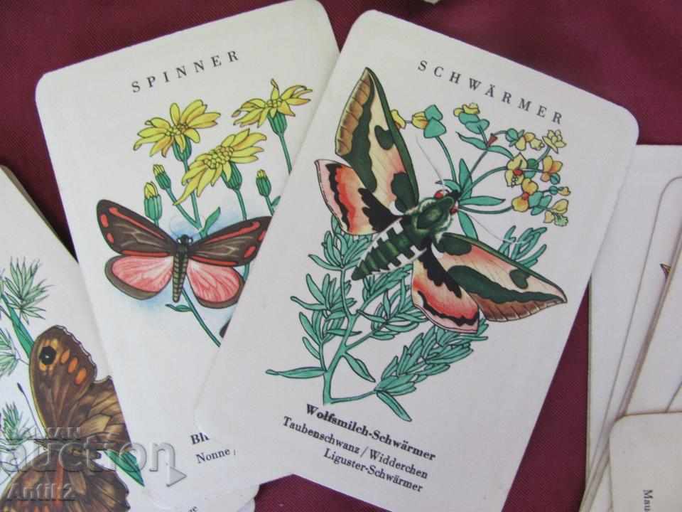 Old Button Playing Cards Germany - 5 Old Button Playing Cards Germany - 5