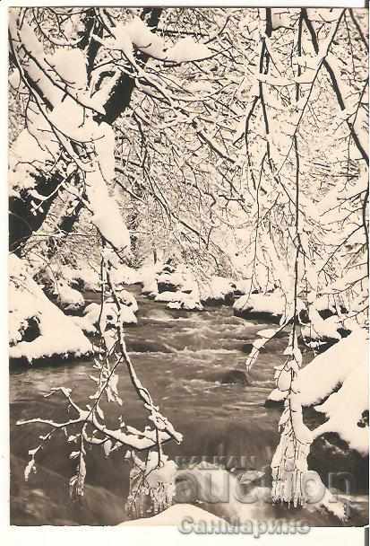 Postcard Bulgaria Winter Landscape 17 *