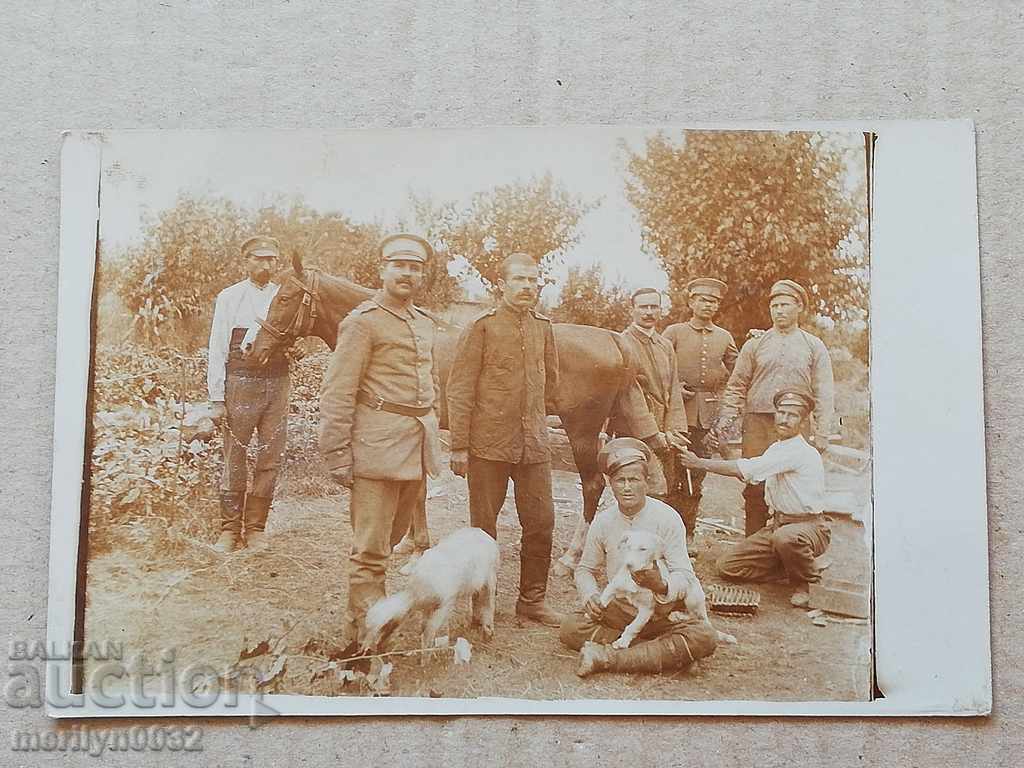 Photo of WW1 soldiers - 5