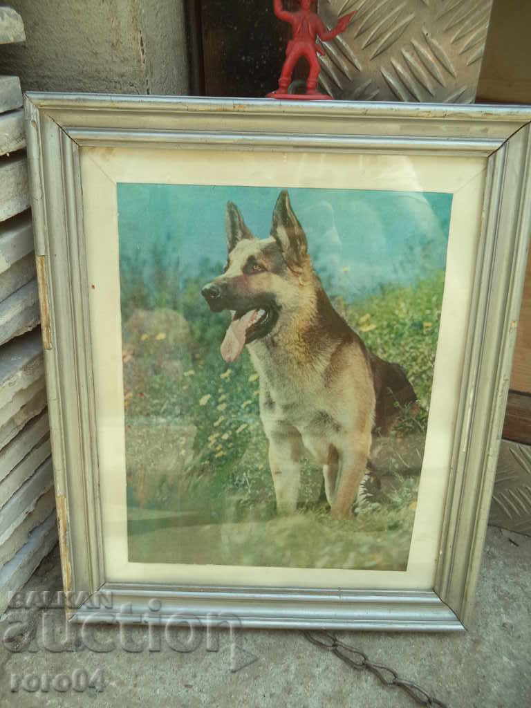 Auction OVCHARKA - KABOEZ - FRAME - GLASS Auction OVCHARKA - KABOEZ - FRAME - GLASS