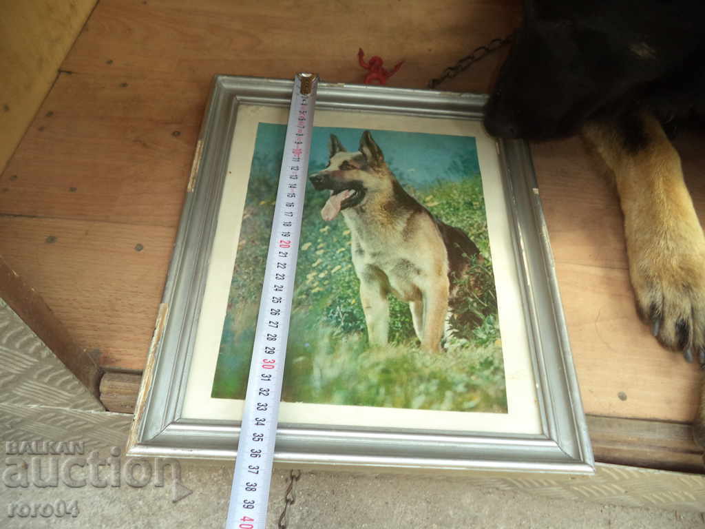 OVCHARKA - KABOEZ - FRAME - GLASS - 7 OVCHARKA - KABOEZ - FRAME - GLASS - 7