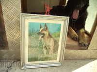 OVCHARKA - KABOEZ - FRAME - GLASS