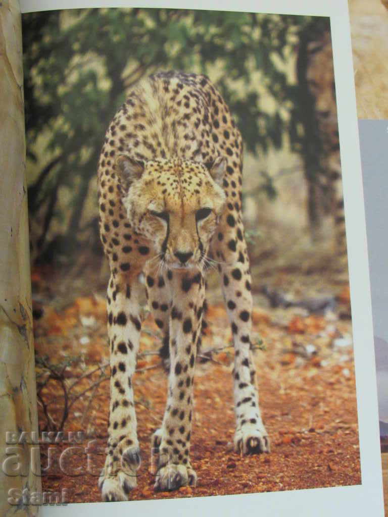 Explore Namibia-2009 - 6 Explore Namibia-2009 - 6