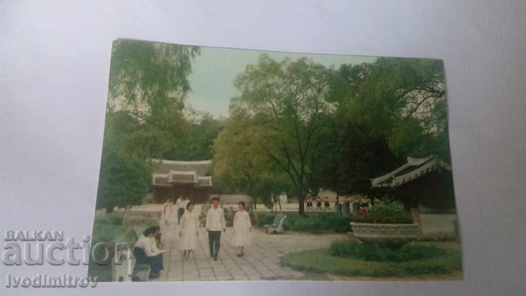 Postcard Kesong El parque de Sonzuk