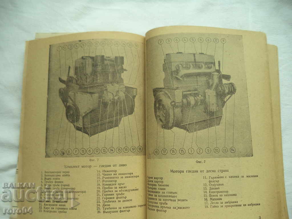 IFA - HORX - 6 IFA - HORX - 6