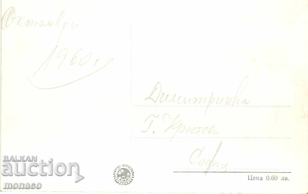 Old Postcard - Narechen Baths, Holiday Stations with price 1.80 BGN | € 0.92 Old Postcard - Narechen Baths, Holiday Stations with price 1.80 BGN | € 0.92