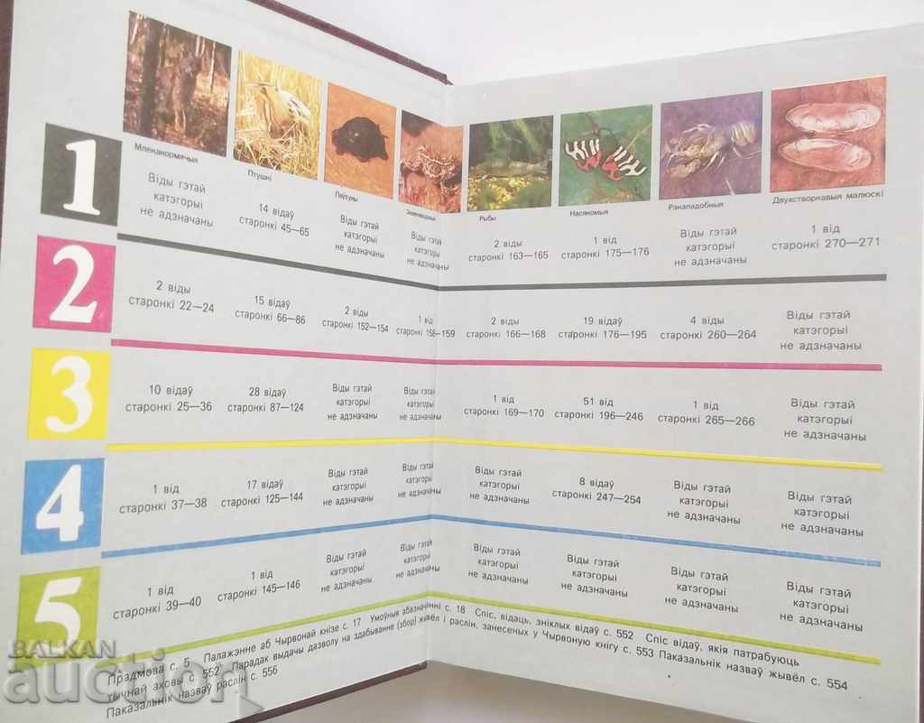 Чырвоная кніга Рэспублікі Belarus 1993 г. Беларус with price 70.00 BGN | € 35.79 Чырвоная кніга Рэспублікі Belarus 1993 г. Беларус with price 70.00 BGN | € 35.79