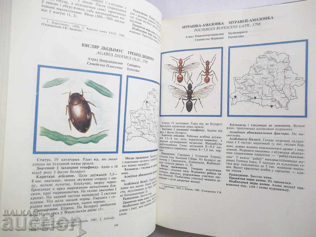 Чырвоная кніга Рэспублікі Belarus 1993 г. Беларус - 5 Чырвоная кніга Рэспублікі Belarus 1993 г. Беларус - 5