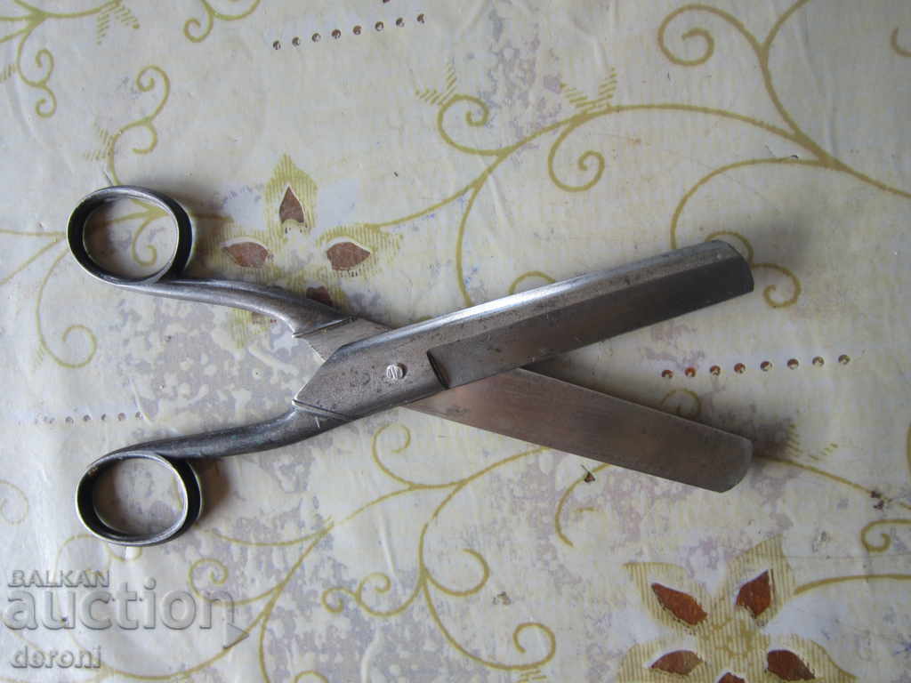 Amazing scissors scissors Emil Ackermann Berlin - 5 Amazing scissors scissors Emil Ackermann Berlin - 5