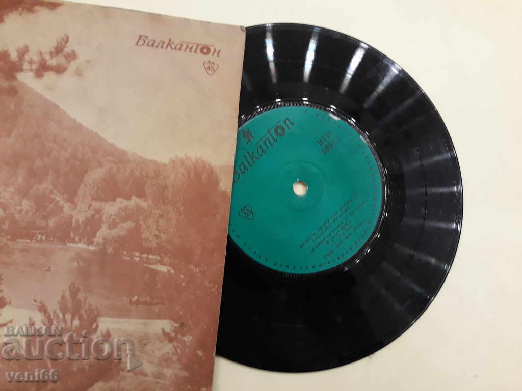 Auction VTM 5891 Angela Zilia Auction VTM 5891 Angela Zilia