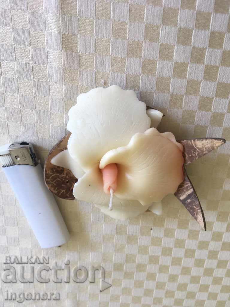 COFFEE DECOR with price 5.00 BGN | € 2.56 COFFEE DECOR with price 5.00 BGN | € 2.56