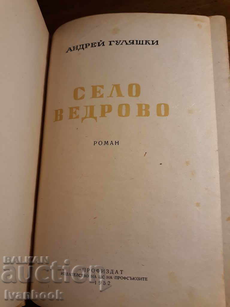 Auction  Andrey Gulyazki - Village of Vedrovo