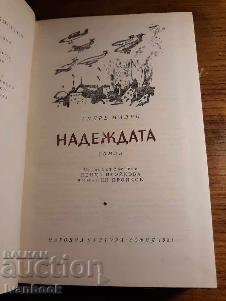 Delivery of Hope - Andrea Malro Delivery of Hope - Andrea Malro