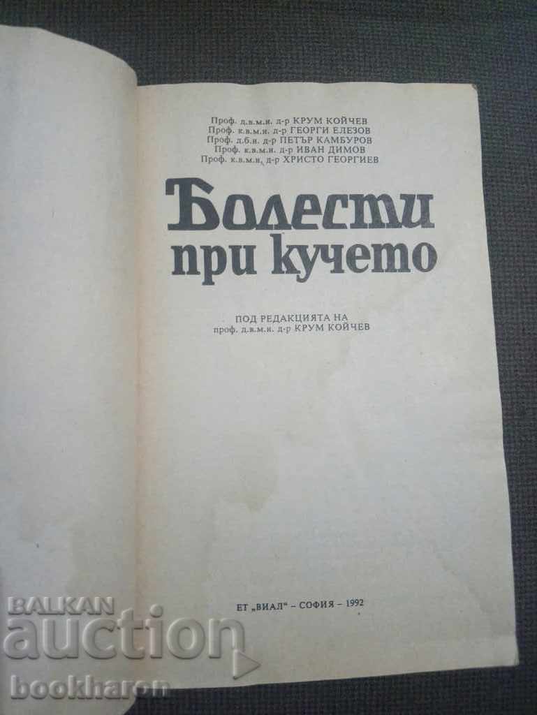 Ασθένειες σκύλου με τιμή € 3.00 | 5.87 BGN