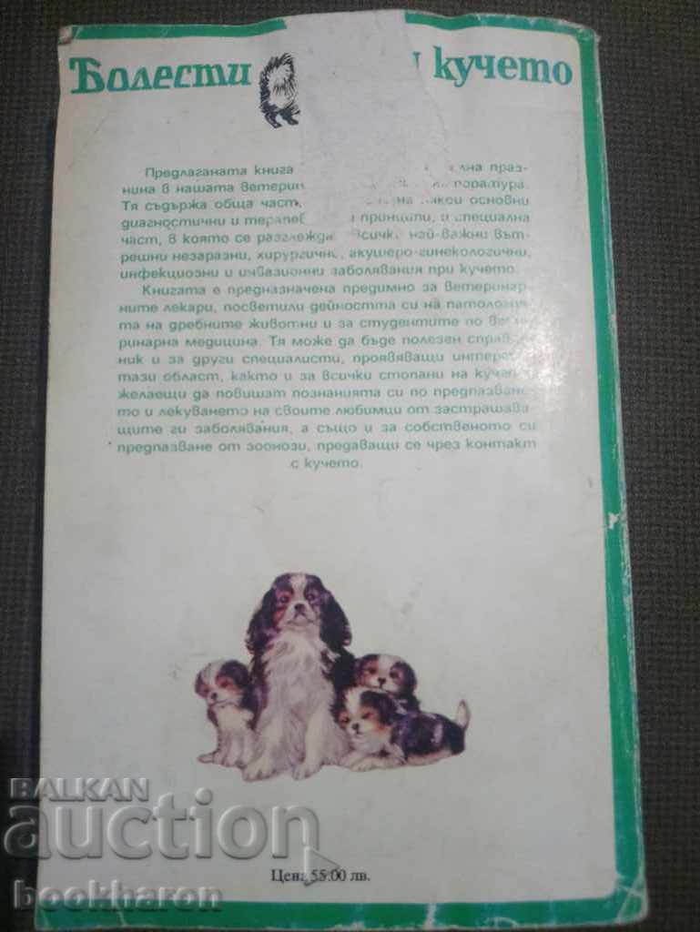 Auction Diseases in the dog Auction Diseases in the dog