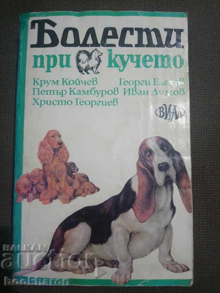 Ασθένειες σκύλου