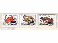 Βόρεια Κορέα 1990 Πανίδα – Θαλάσσιοι Καρκίνοι 3τμχ