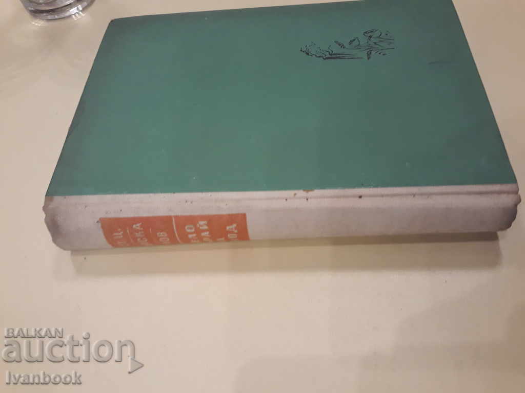 St, Ts, Daskalov - Village of Tsarevets with price 2.00 BGN | € 1.02 St, Ts, Daskalov - Village of Tsarevets with price 2.00 BGN | € 1.02