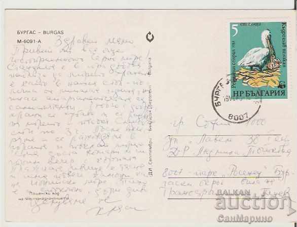 Map Bulgaria Burgas 9 * with price 0.60 BGN | € 0.31 Map Bulgaria Burgas 9 * with price 0.60 BGN | € 0.31