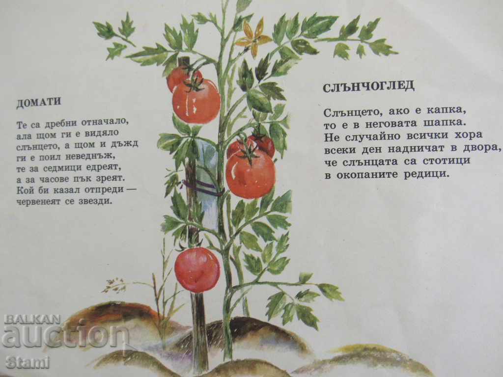 A. Platner - "My Garden" - a booklet for children - 6 A. Platner - "My Garden" - a booklet for children - 6