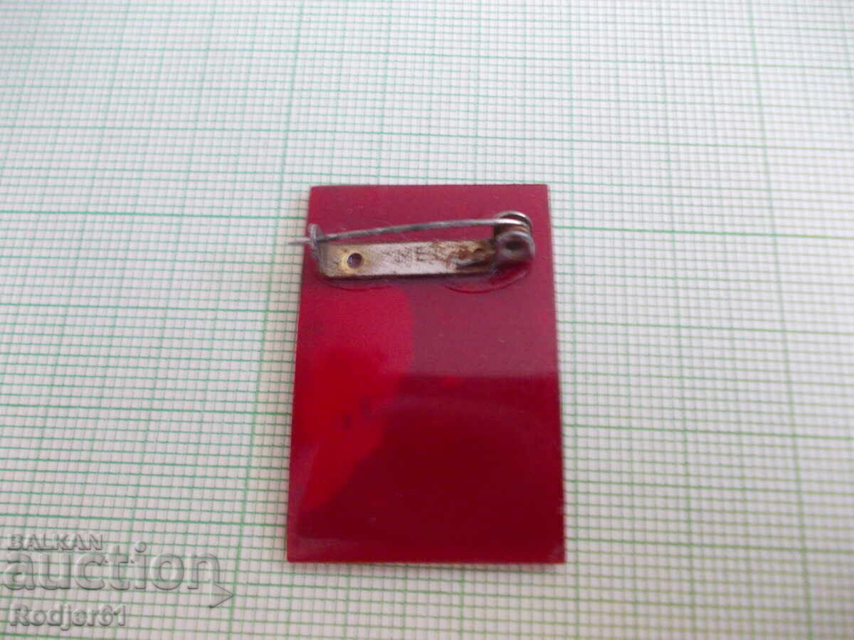 badges - personalities Nicolaus Copernicus with price 3.00 BGN | € 1.53